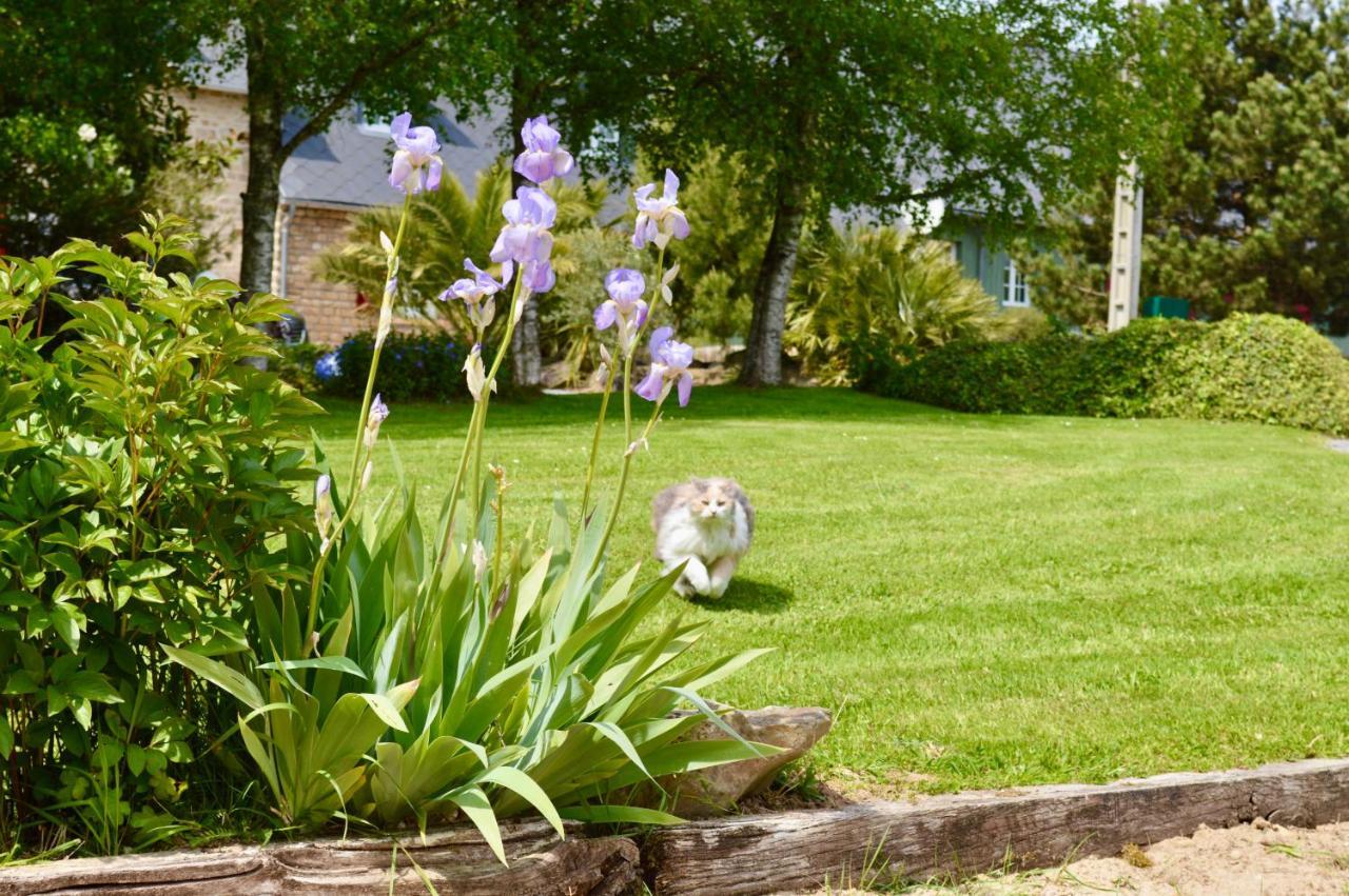Isigny-le-Buat La Pichonniere B&B 외부 사진